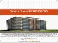 Sakura Homes@9266158585
