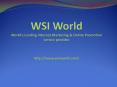 Search Engine Optimization By WSI World