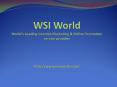 WSI World - Content Marketing