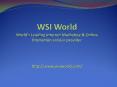 WSI World - Mobile Marketing