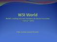WSI World - Search Advertising