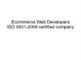 Ecommerce Web Developers