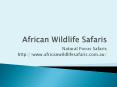 African Wildlife Safaris and Tours