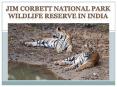 Jim Corbett National Park