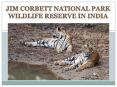 Jim Corbett National Park