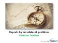 Reports on industries and positions in Charisma Analyzer
