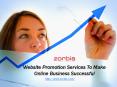 Website Promotion Services To Make Online Business Successful