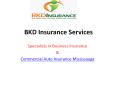 Business and Commercial Auto Insurance Services in Mississauga