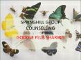 SPRINGHILL GROUP COUNSELLING - Google Plus