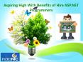 Aspiring High With Benefits of Hire ASP.NET Programmers