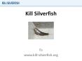 Kill Silverfish