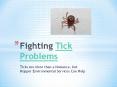 Fighting Tick Problems - Ticks Are More than a Nuisance, but Hopper Environmental Services Can Help