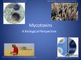 Mycotoxins