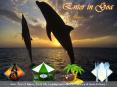 Explore Non stoppable fun and excitement Places in Goa