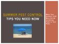 Summer Pest Control Tips You need Now - Make Your Summer A Bit More Fun By Uninviting Pests to Your Party