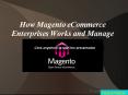 How Magento eCommerce Enterprises Works and Manage
