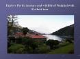 Explore Perfect nature and wildlife of Nainital with Corbett tour