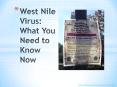 West Nile Virus: What You Need to Know Now