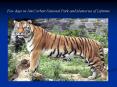 Few days in Jim Corbett National Park and Memories of Lifetime