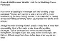 Grano Bridal Reviews What to Look for in Wedding Cruise Packages