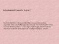Advantages of Cosmetic Dentistry