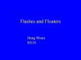 Flashes and Floaters Hong Woon SJUH Flashes and Floater