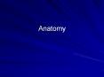 Anatomy Anatomy Study of the structure/form of the huma