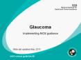 v Glaucoma Implementing NICE guidance Slide set updated Ma