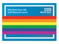 Launching a network which will help make the NHS in the North East a great place for LGB staff to work