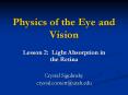 Physics of the Eye and Vision