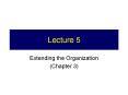 Extending the Organization
