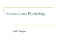 Sociocultural Psychology