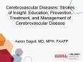 Cerebrovascular Diseases: Strokes of Insight: Education, Prevention, Treatment, and Management of Cerebrovascular Disease