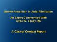 Stroke Prevention in Atrial Fibrillation  An Expert Commentary With Clyde W. Yancy, MD  A Clinical Context Report