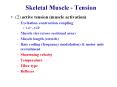Skeletal Muscle - Tension