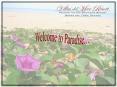 Welcome to Paradise