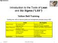 Introduction to the Tools of Lean and Six Sigma ( LSS 