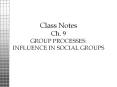 ch. 9 group processes: influence in social groups group tw
