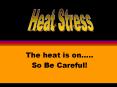 The heat is on .. So Be Careful! FACTS Although heat-relate