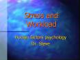 Stress and Workload Human factors psychology Dr. Steve 