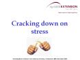 Cracking down on stress  Cracking Down on Stress  wa
