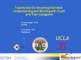Trauma and Co-Occurring Disorders: Understanding and Workin