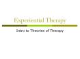 Experiential Therapy Intro to Theories of Therapy Hallmark