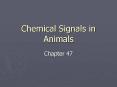 Chemical Signals in Animals Chapter 47 Chemical Signals i