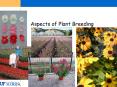 Aspects of Plant Breeding The plant breeding industr