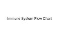 Immune System Flow Chart Pathogen Disease causing agen