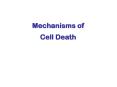 Mechanisms of Cell Death Etiology of cell death Majo