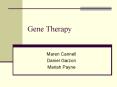 Gene Therapy Maren Cannell Daniel Garzon Mariah Payne Gene