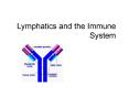 Lymphatics and the Immune System Lymphatic System One wa