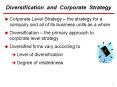 Corporate Level Strategy   the strategy for a company an